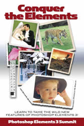 Free Photoshop Elements Training Session