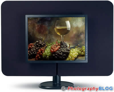LaFrame LCD Monitor Frame
