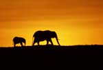 Love Earth Photo Competition