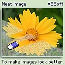 Neat Image