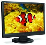 NEC 24 Inch Monitor