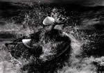 Nikon Photo Contest International 2006-2007