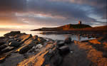 Northscape Workshops