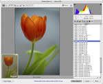 onOne Software Adobe Camera RAW PhotoPresets