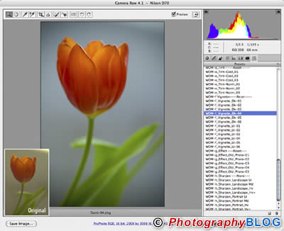 onOne Software Adobe Camera RAW PhotoPresets
