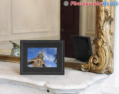 Parrot DF7700