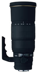Sigma 120-300mm F2.8 APO EX DG HSM