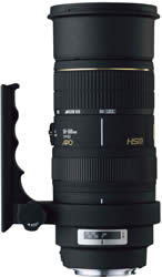 Sigma 50-500mm F4-6.3 EX DG HSM Lens