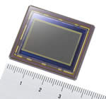 Sony 12.47 Megapixel APS-C CMOS Sensor