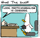 What the Duck Photo Comicstrip