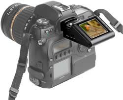 ZIGVIEW
