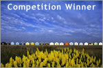 Competition Winner
