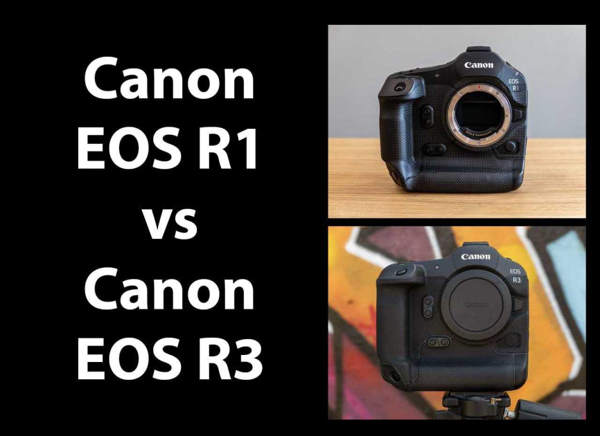 Canon EOS R1 vs Canon EOS R3 – Which is Higher?