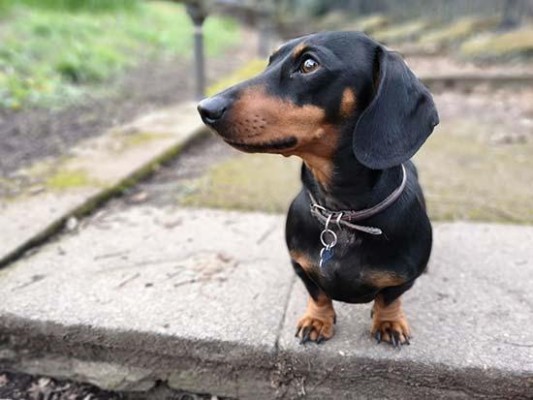 Huawei P20 Sample Images