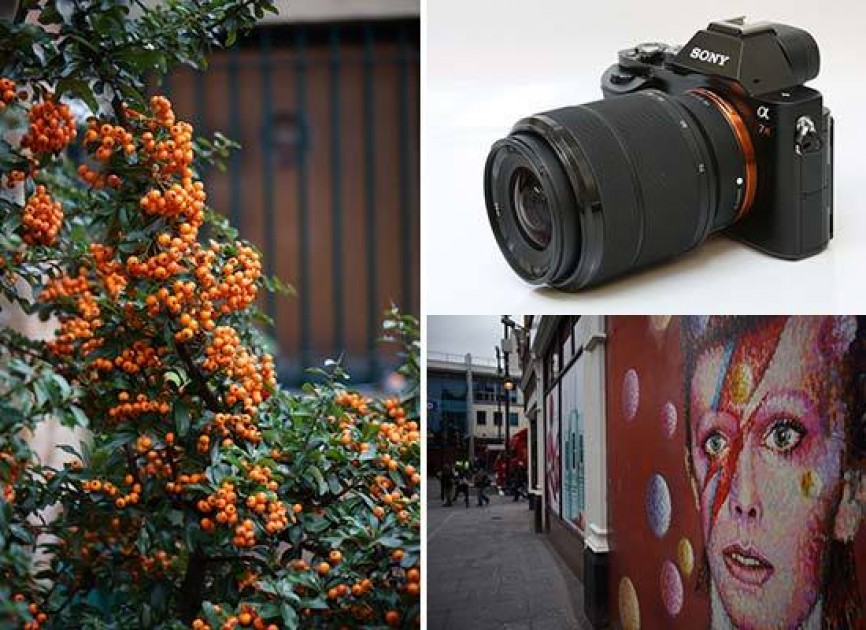 Sony FE 28-70mm f/3.5-5.6 OSS Sample Images | Photography Blog