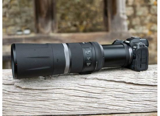 Canon RF 800mm F11 IS STM Review - Sample Images Canon RF 800mm F11 IS STM Review - Sample Images