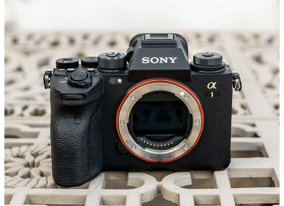 Sony A1 Review Photography Blog