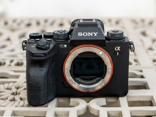 sony a1 birds