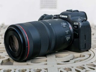 Canon RF 100mm F2.8L Macro IS USM Review | Photography Blog