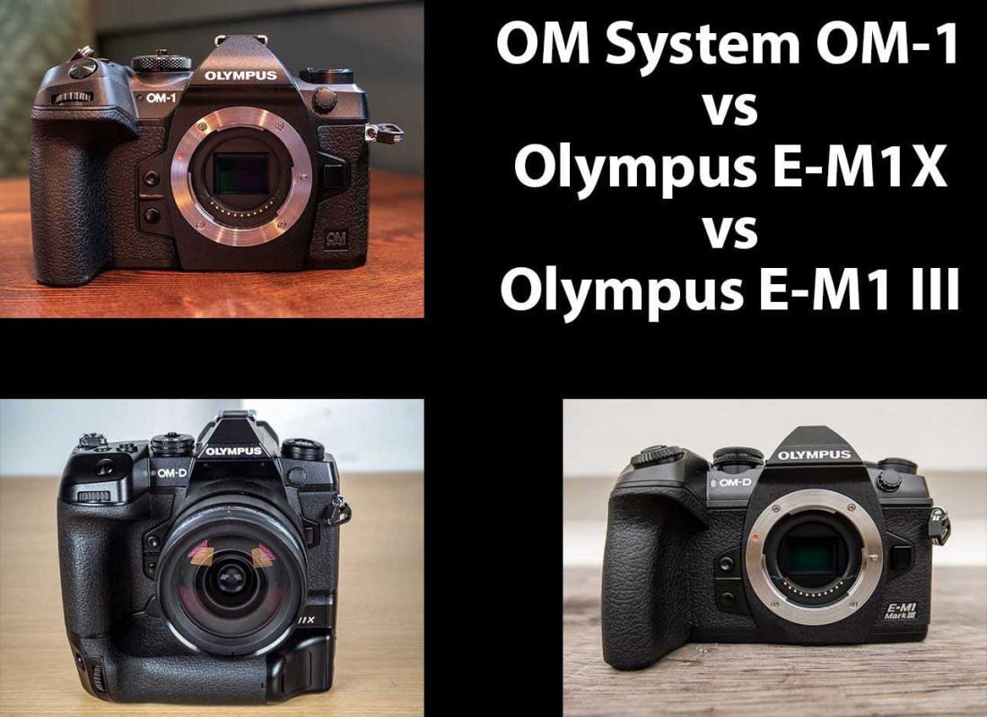 OM System OM1 vs Olympus EM1 III vs Olympus EM1X Headtohead