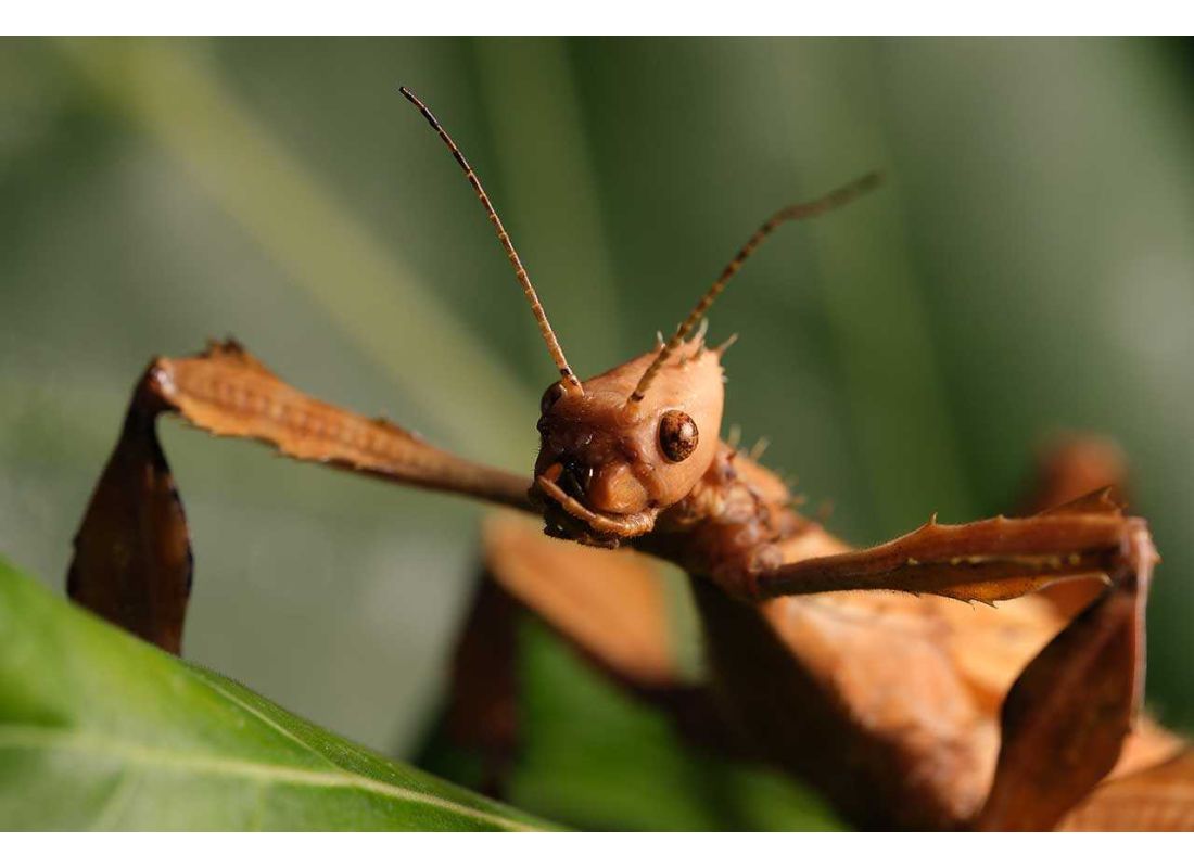 Fujifilm XT5 Sample Images Photography Blog