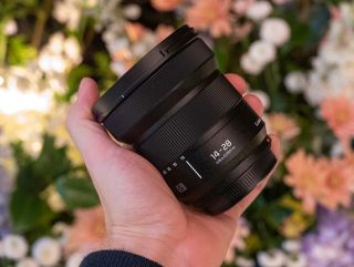 Panasonic Lumix S 14-28mm F4-5.6 MACRO Hands-on Photos