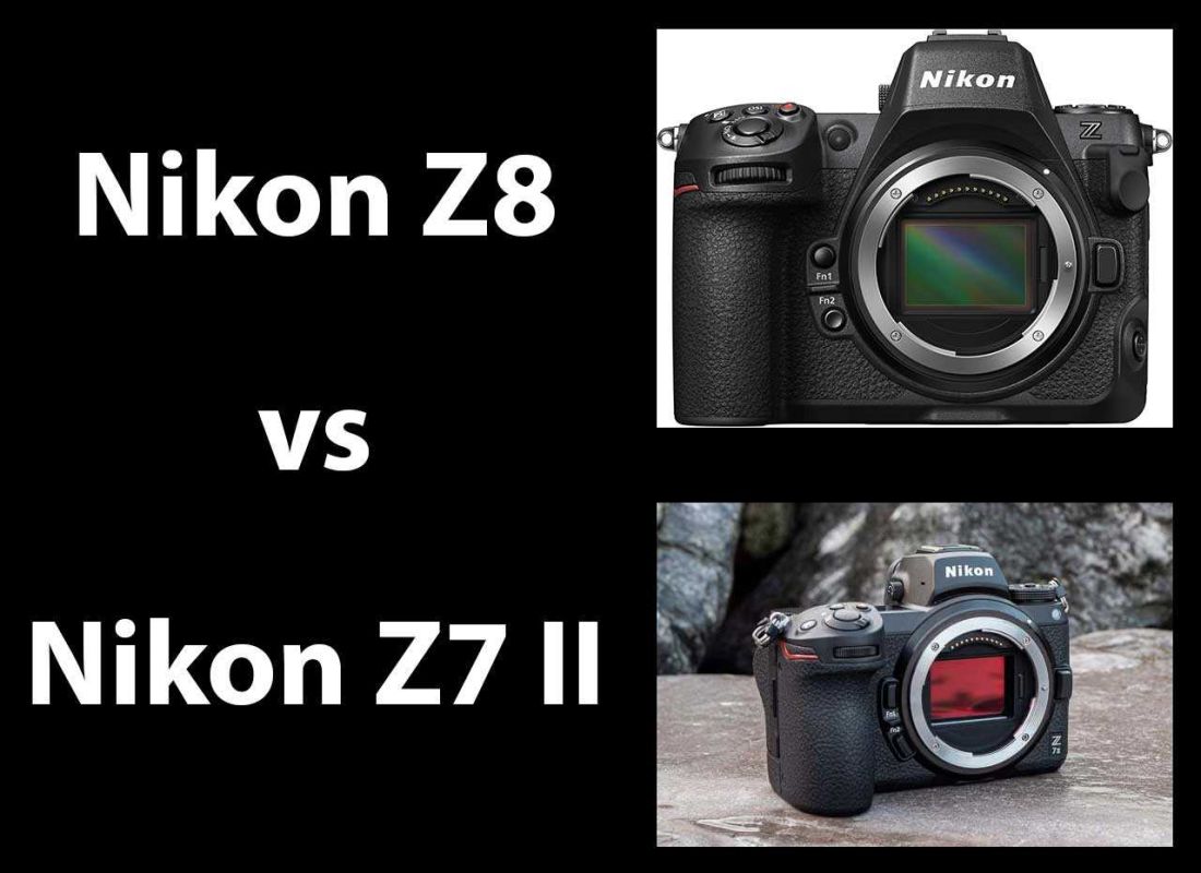 Nikon Z8 vs Nikon Z7 II Headtohead Comparison Photography Blog