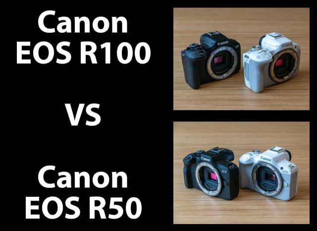 canon r50 vs r100 comparison