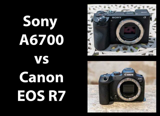 Sony A6700 vs Canon EOS R7 - Which is Better? | Photography Blog