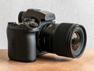 Panasonic Lumix S 100mm F2.8 Macro Review | Photography Blog