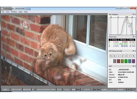 fastrawviewer export fastrawviewer export