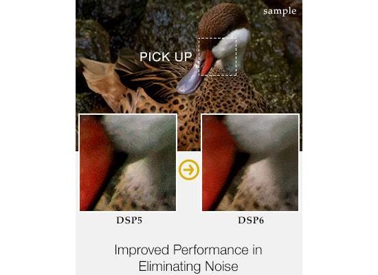Automatic Duck Pro Import Ae 4.0 Software