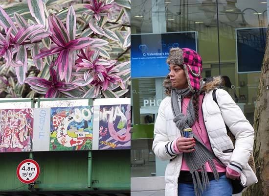 Panasonic Lumix DMC-TZ35 Photos | Photography Blog