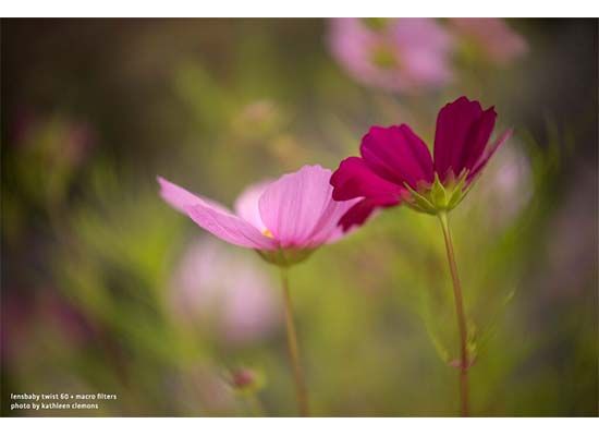 lensbaby 46mm macro filter kit