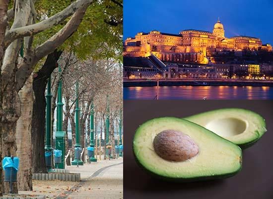 Nikon AF-S DX Nikkor 18-300mm f/3.5-6.3G ED VR Sample Images