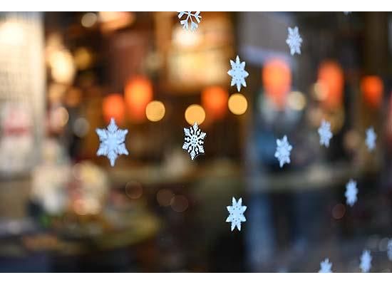nikon 50mm 1.8 sample images
