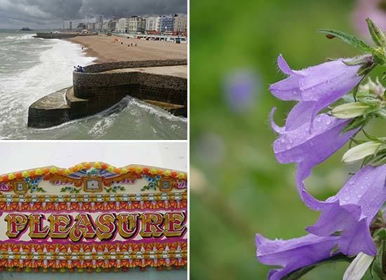 Panasonic LUMIX DMC-GX8 Sample Images | Photography Blog