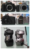 Canon EOS 300D + 10D Comparison