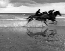 Beach Horses