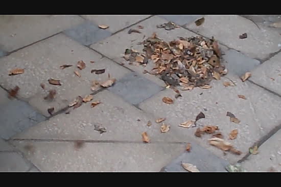 Nikon Coolpix S31 Review | Photography Blog