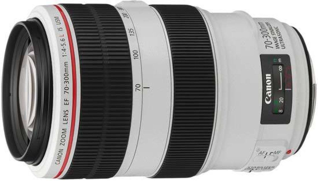 Canon EF70-300mm F4-5.6L IS USMを徹底解説。作例からレビュー
