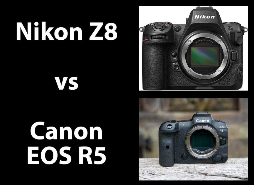Nikon Z8 vs Canon EOS R5 - Head-to-head Comparison | Photography Blog