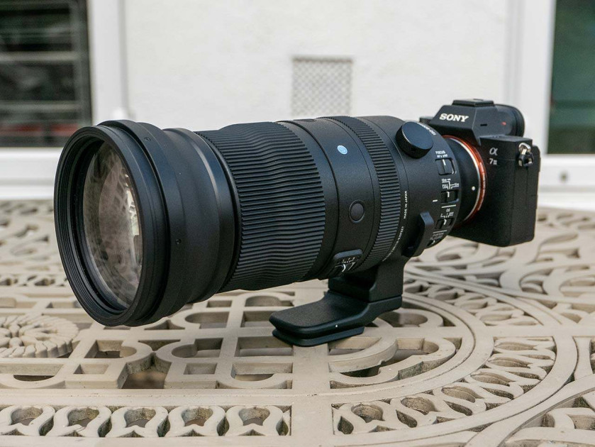 Sigma 150-600mm F5-6.3 DG DN OS Sports Review | Photography