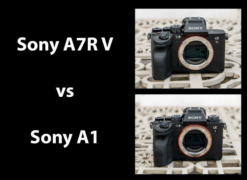 Sony A7R III vs A7 III: resolution versus value, megapixels versus video!
