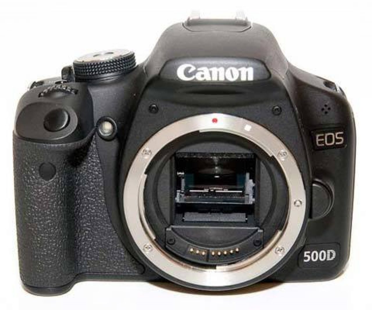 canon 500d body price