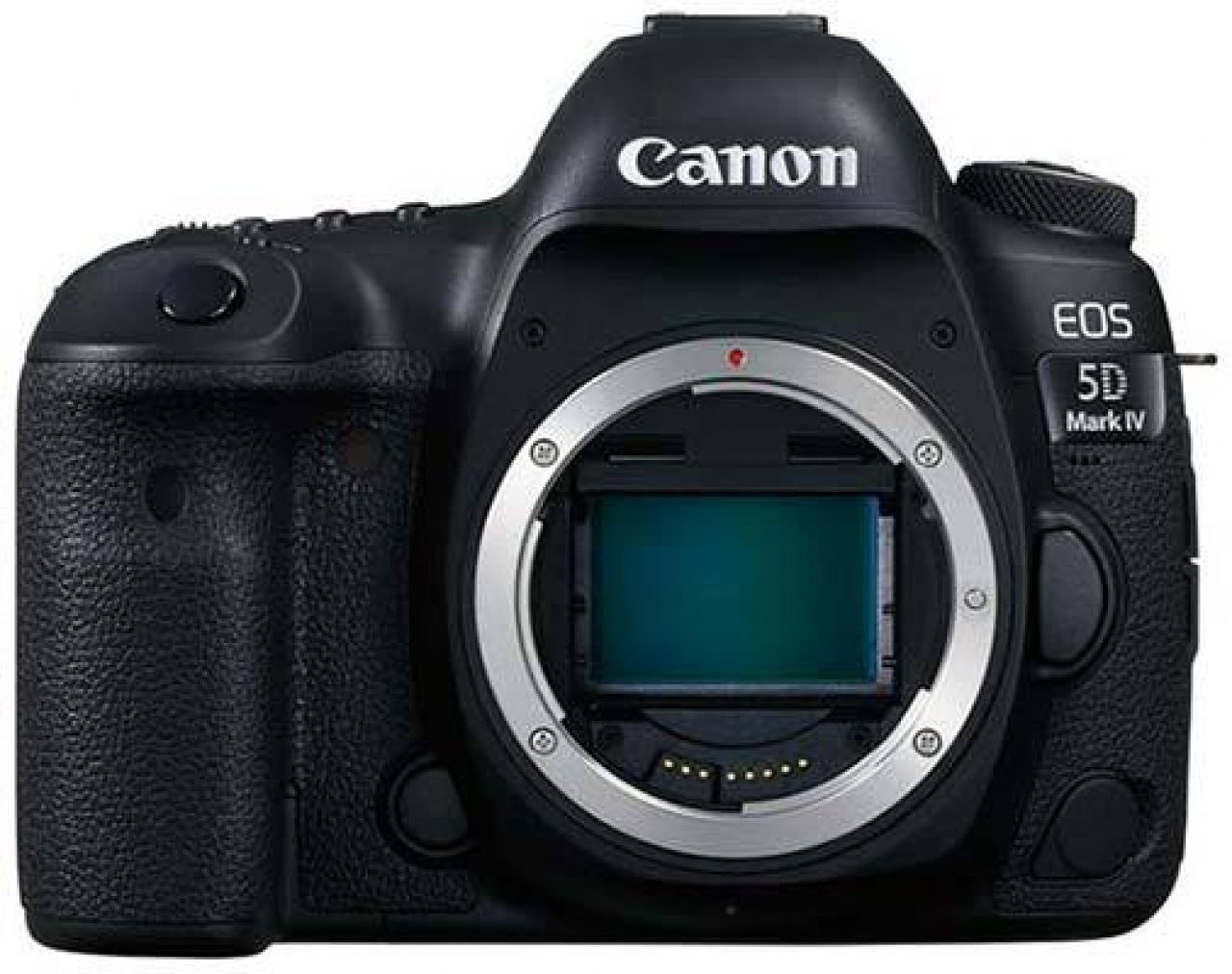 canon 5d mark iv for bird photography