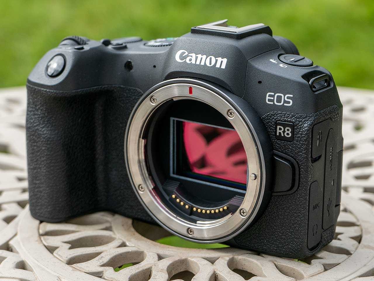 Camera Review: Canon EOS R8