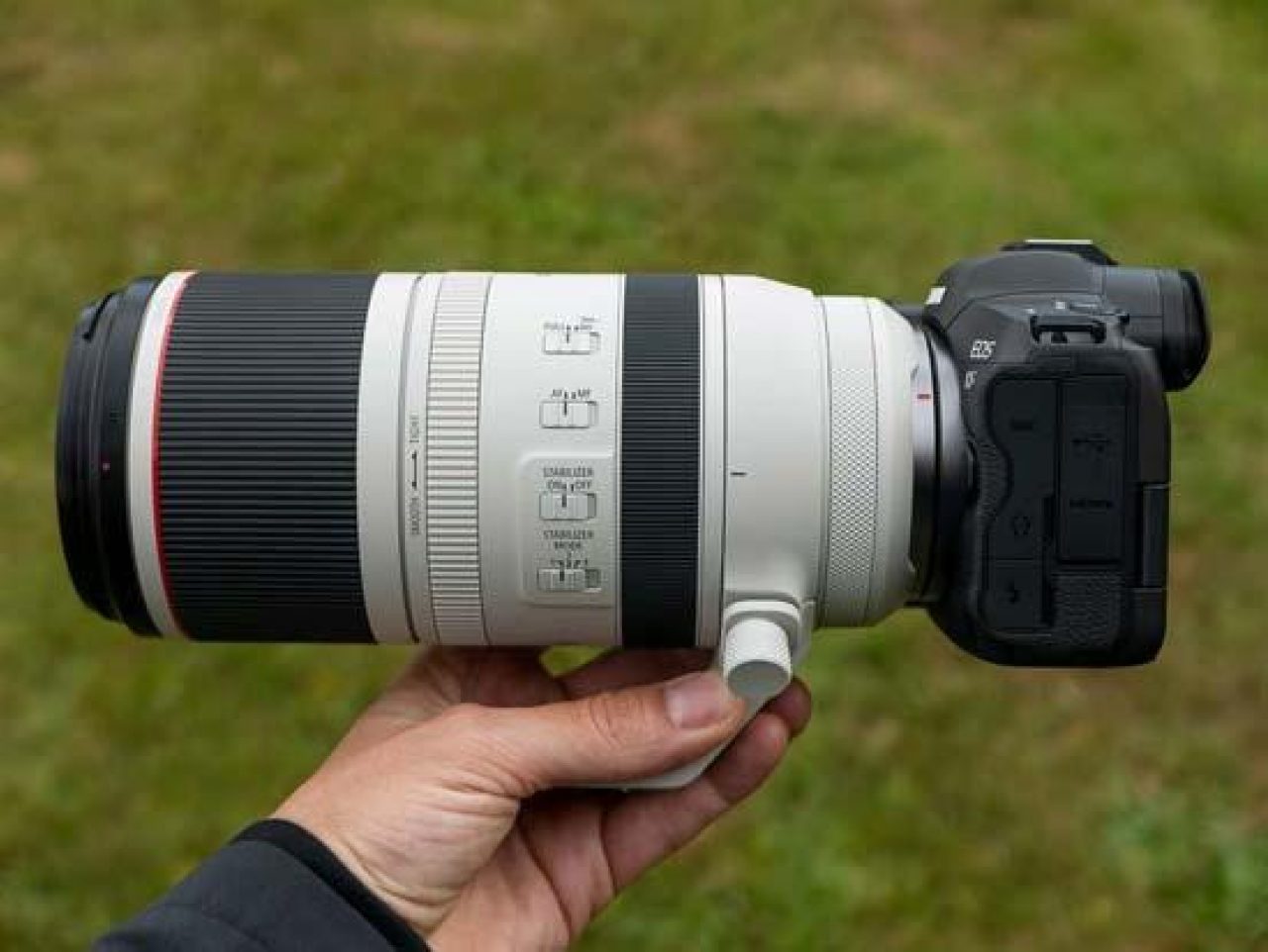 Dronken worden Familielid Tonen Canon RF 100-500mm F4.5-7.1L IS USM Review | Photography Blog