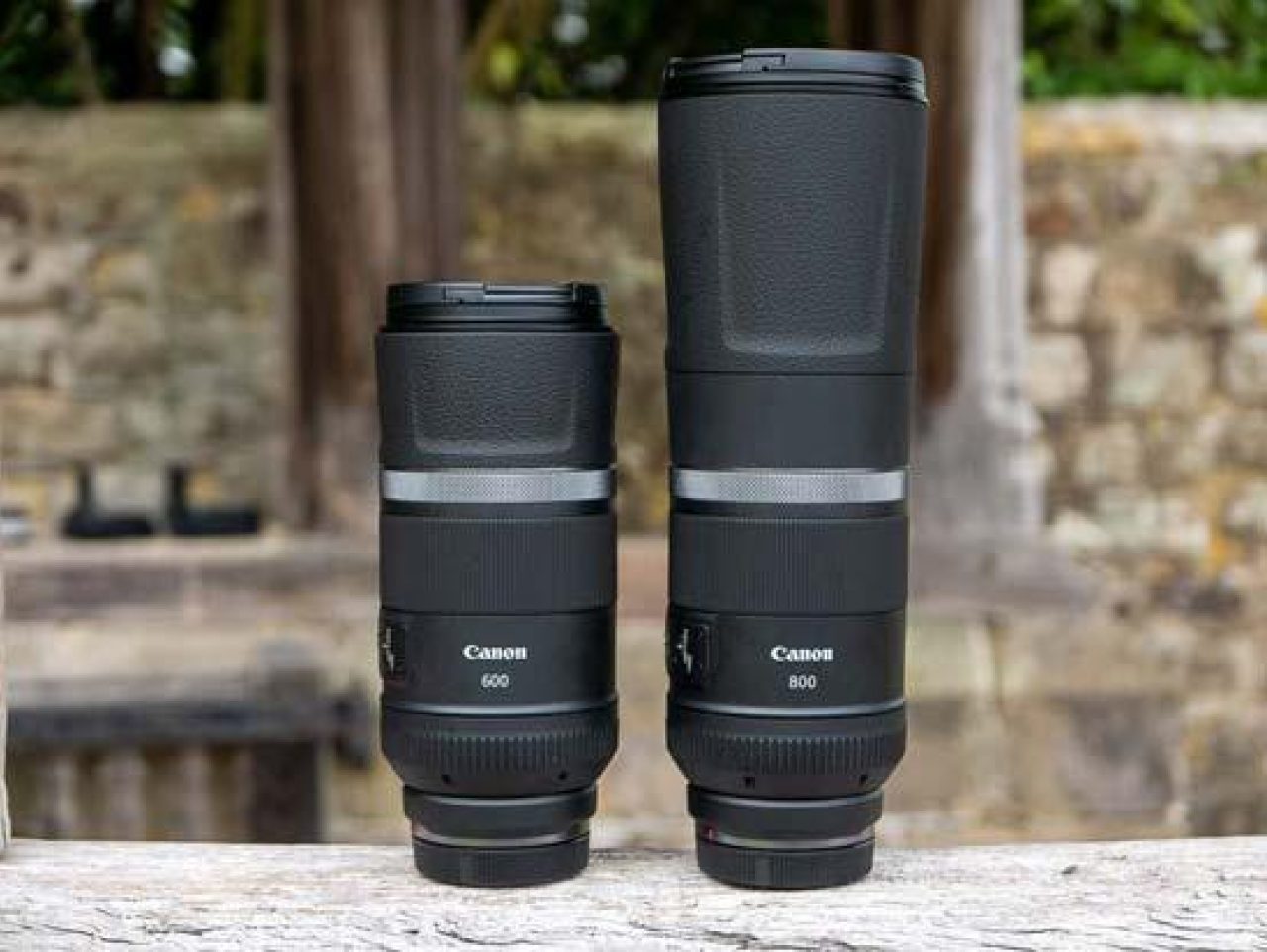 Canon RF 600mm F11 IS STM and RF 800mm F11 IS STM First 