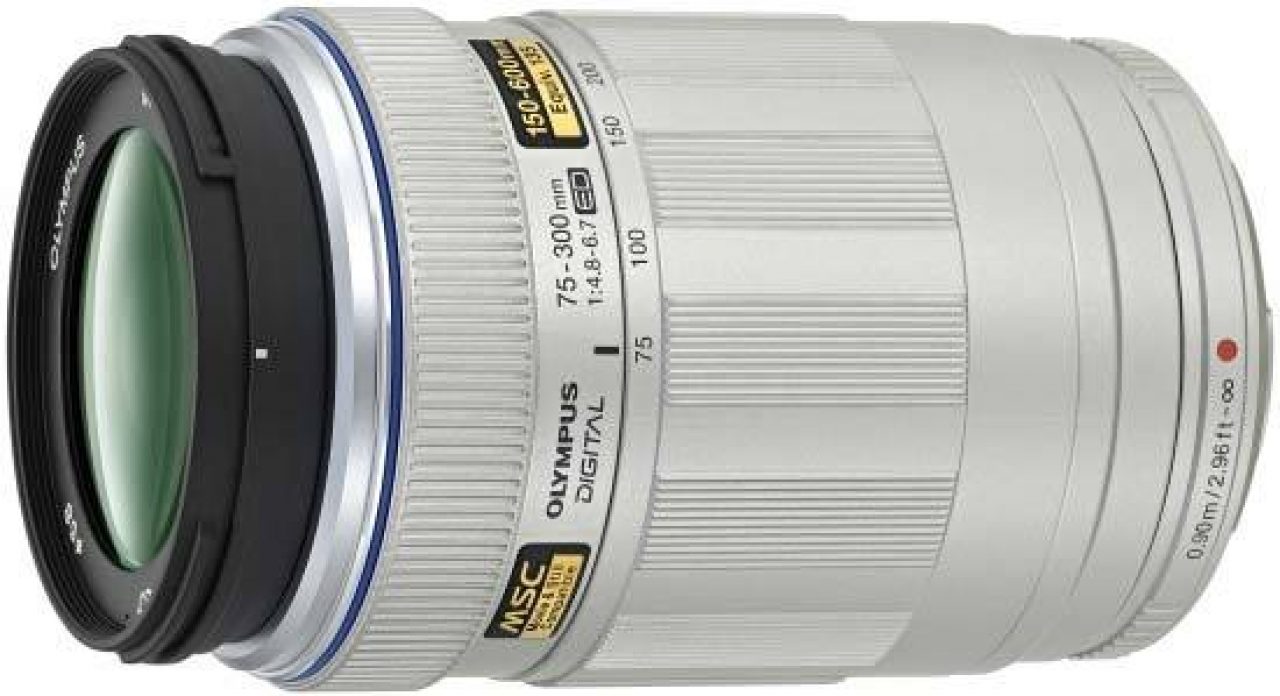 Olympus M.ZUIKO Digital ED 75-300mm f/4.8-6.7 Review | Photography